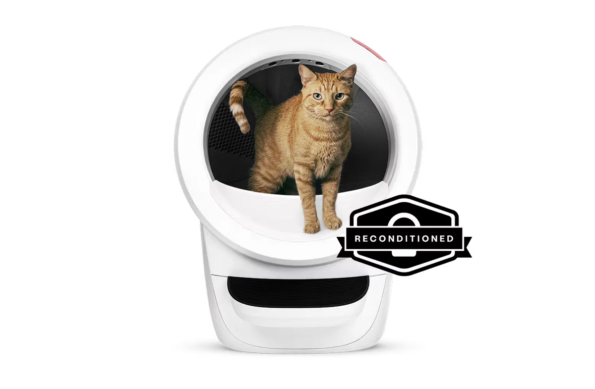 Litter-Robot 4 White/White with Step - Reconditioned