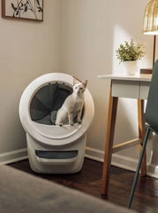 Litter-Robot® 4 Insights Bundle